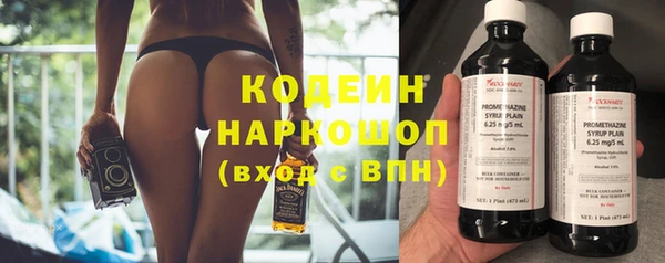 прущие грибы Верхний Тагил