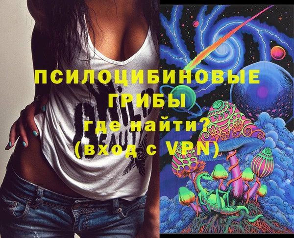 прущие грибы Верхний Тагил