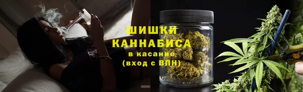 прущие грибы Верхний Тагил