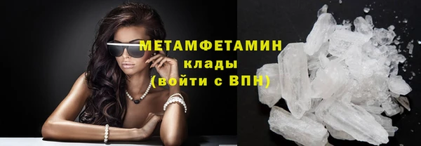 прущие грибы Верхний Тагил