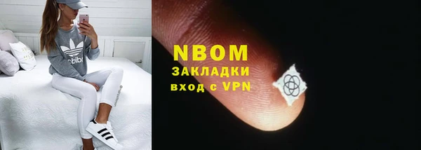 прущие грибы Верхний Тагил