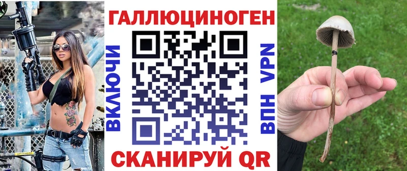 где можно купить   hydra tor  Галлюциногенные грибы Psilocybine cubensis  Кандалакша 